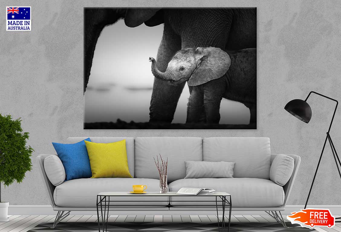 Baby Elephant Closeup B&W Photograph Print 100% Australian Made