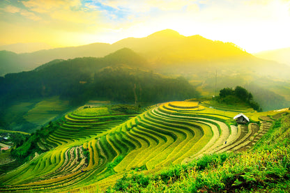 Wallpaper Murals Peel and Stick Removable Rice Fields on Terraced of Mu Cang Chai in Vietnam High Quality