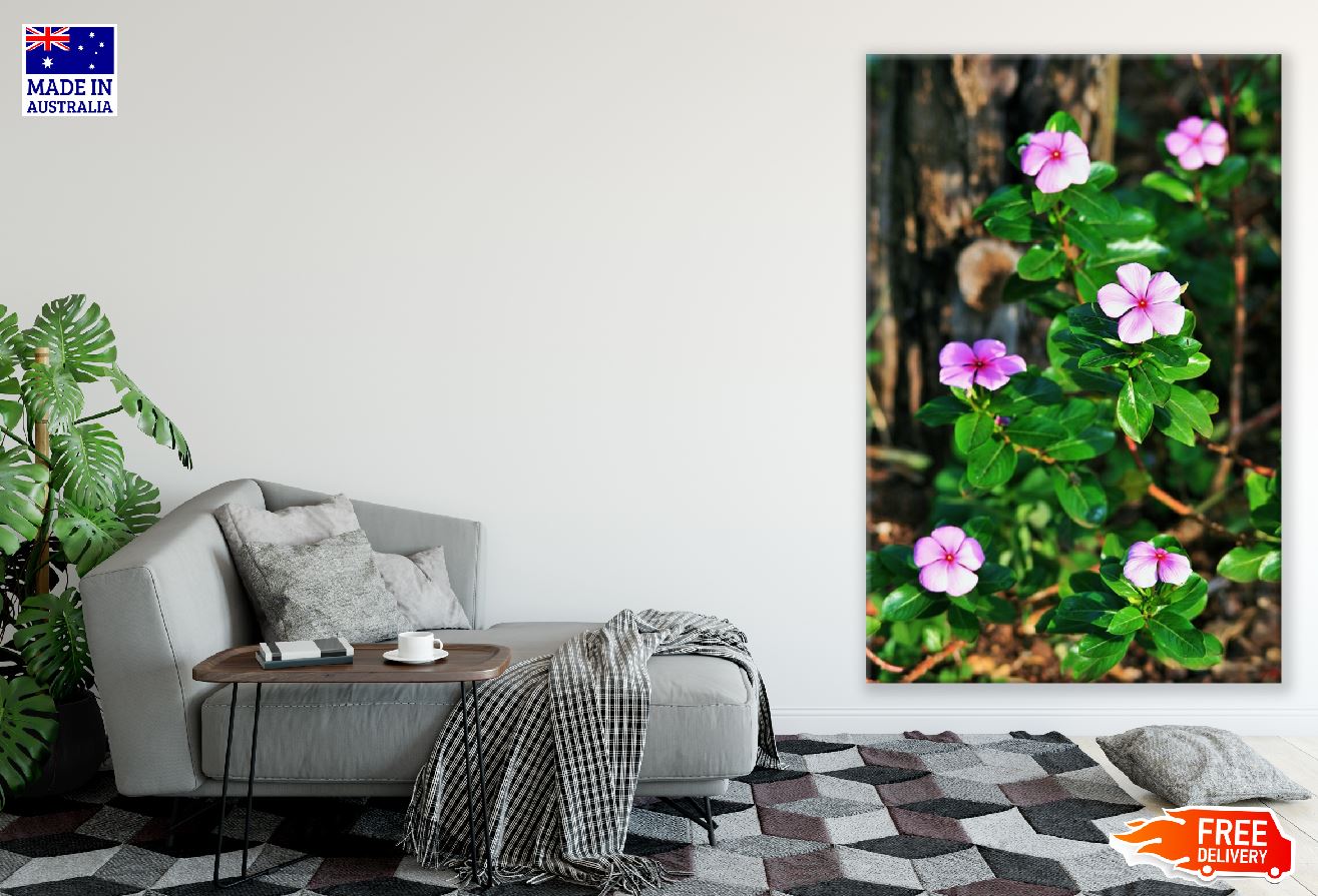 Pink Periwinkles Flowers Photograph Print 100% Australian Made