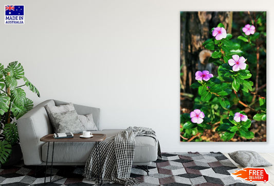 Pink Periwinkles Flowers Photograph Print 100% Australian Made