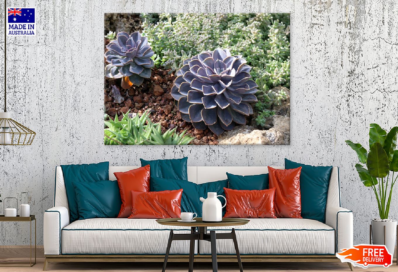 Purple Succulent Cactus View Photograph Print 100% Australian Made