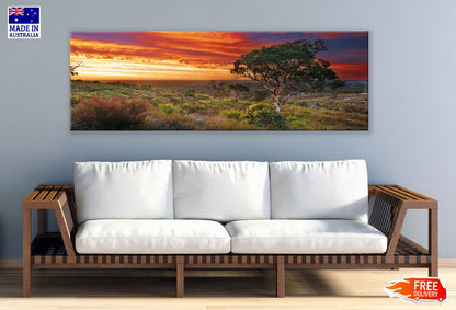 Panoramic Canvas Trees on Hill Sunset View Photograph High Quality 100% Australian Made Wall Canvas Print Ready to Hang