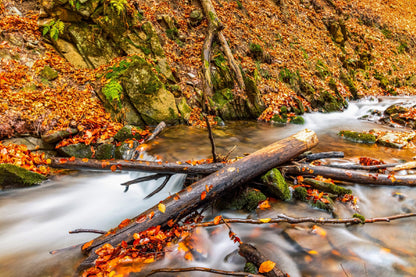 Small Waterfall & Autumn Forest View Photograph Home Decor Premium Quality Poster Print Choose Your Sizes