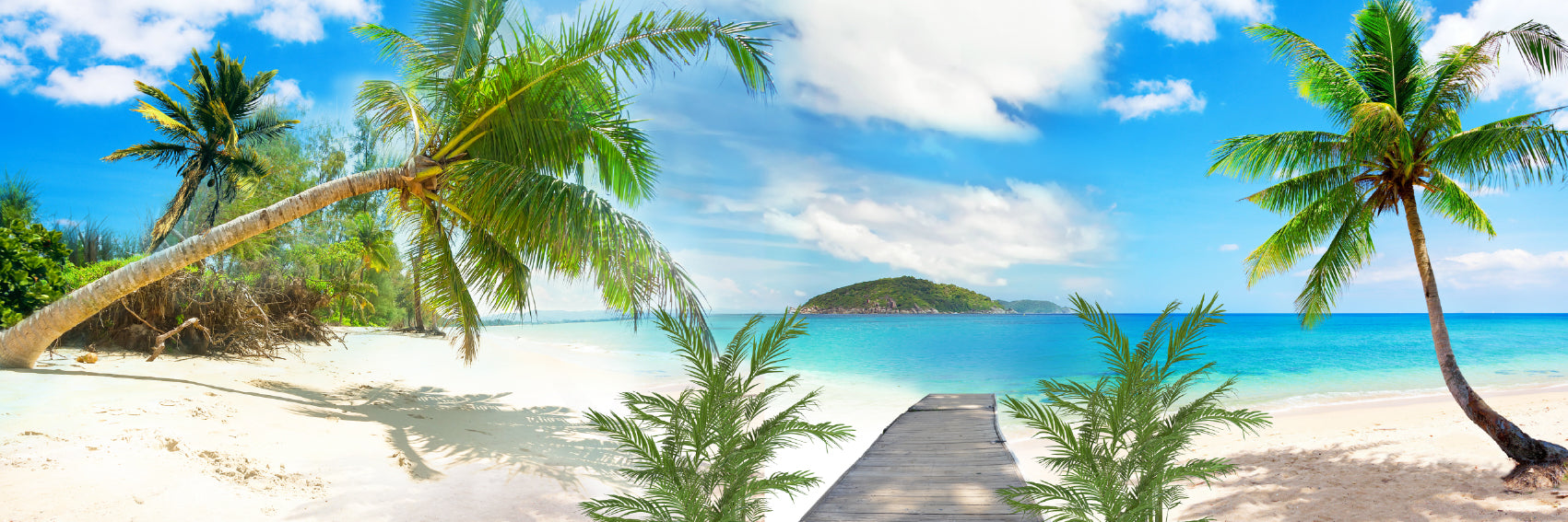 Panoramic Canvas Beach & Palm Trees View Photograph High Quality 100% Australian Made Wall Canvas Print Ready to Hang