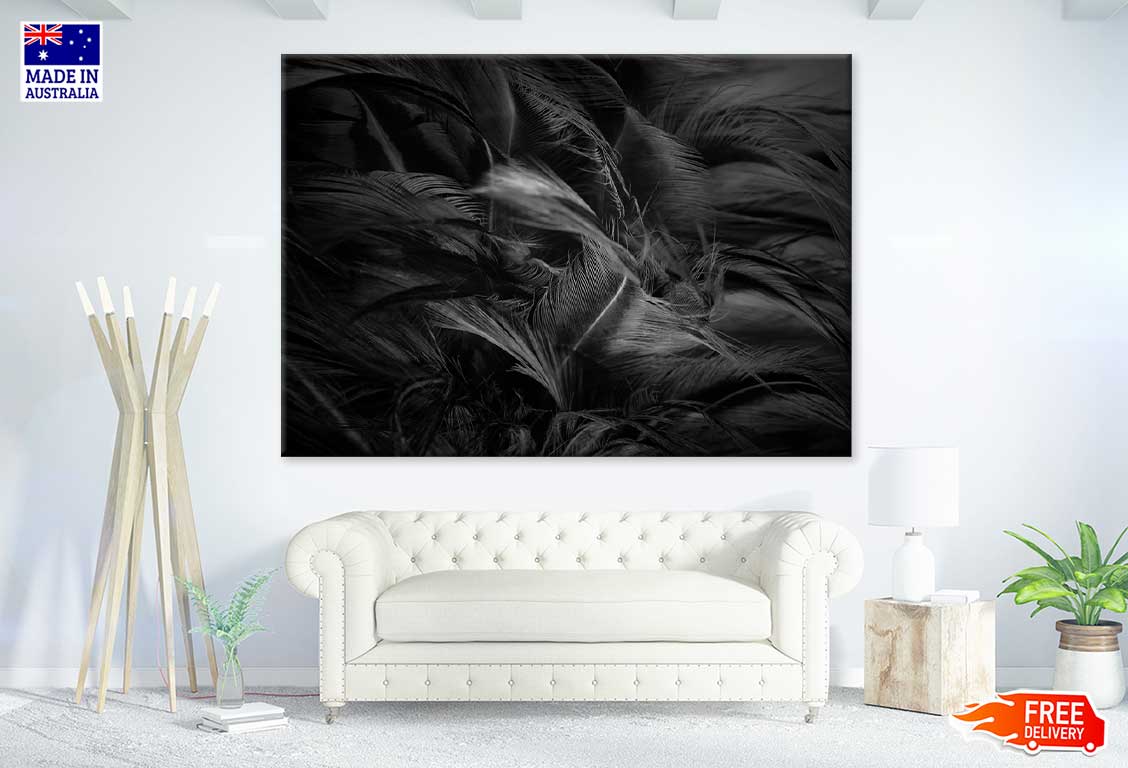 Black Feathers B&W Photograph Print 100% Australian Made