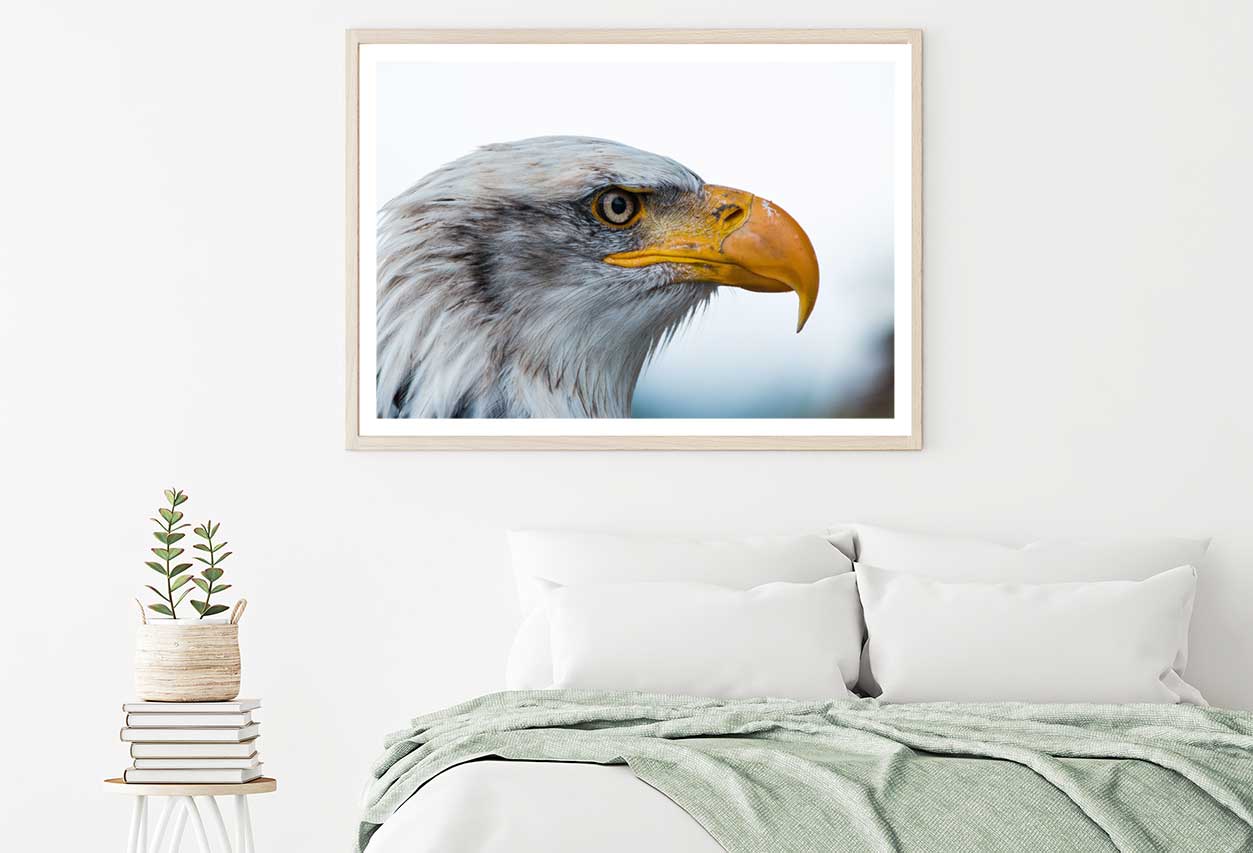 Bald Eagle Closeup View Photograph Home Decor Premium Quality Poster Print Choose Your Sizes