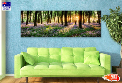 Panoramic Canvas Bluebell Woods View Photograph High Quality 100% Australian Made Wall Canvas Print Ready to Hang