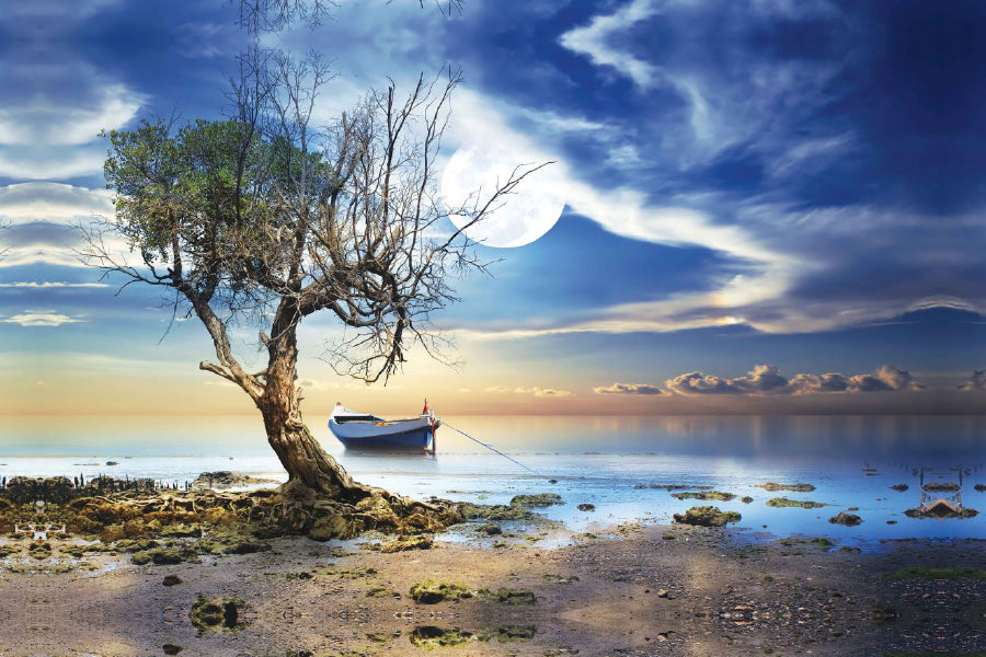 Dead Tree Near Seashore with Boat Photograph Print 100% Australian Made