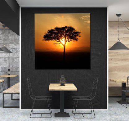 Square Canvas Alone Tree on Sunset View Photograph High Quality Print 100% Australian Made