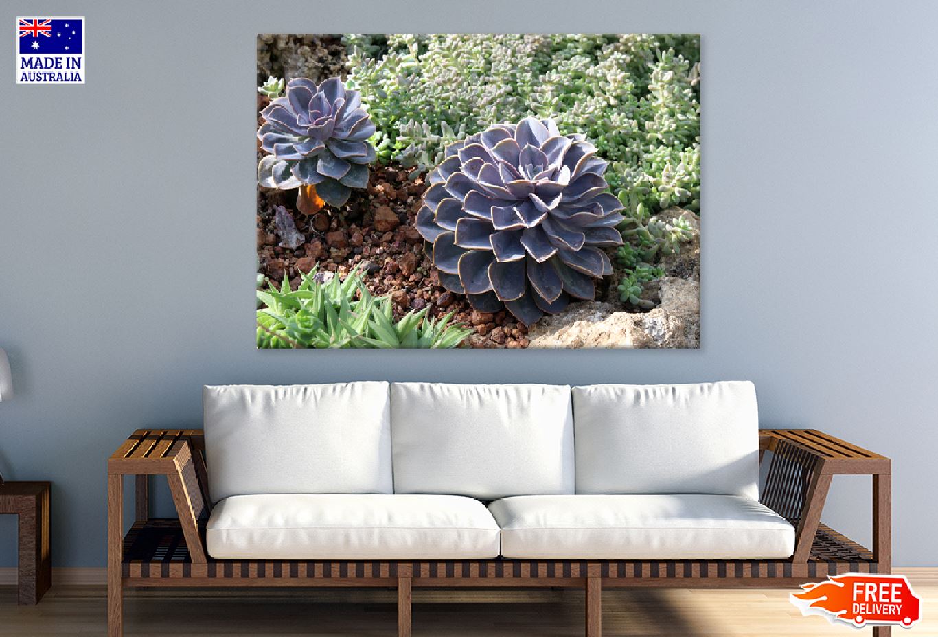 Purple Succulent Cactus View Photograph Print 100% Australian Made