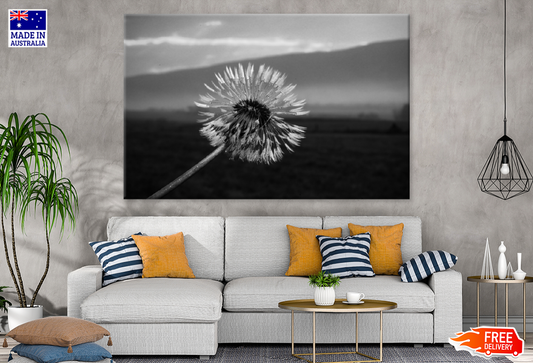 B&W Dandelion Flower Closeup Photograph Print 100% Australian Made