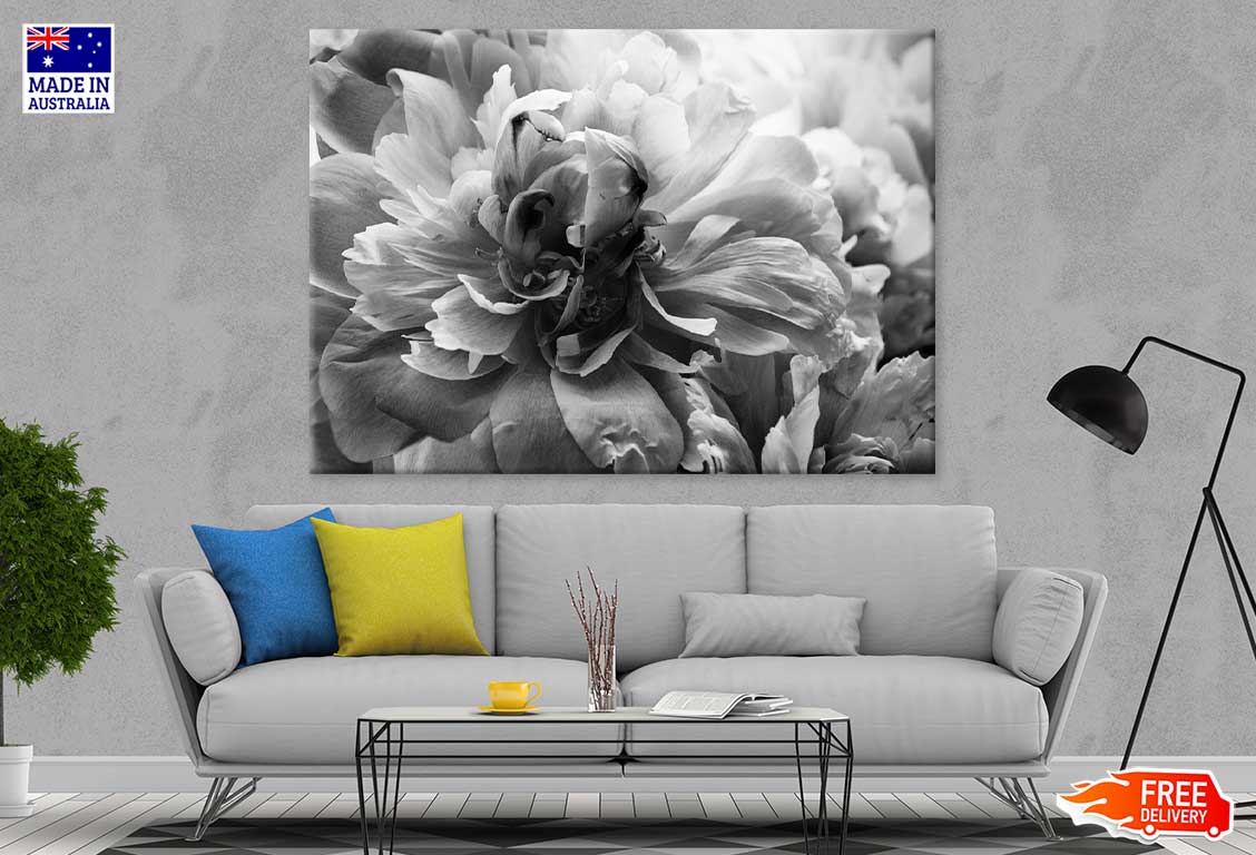 Flower Petals B&W View Photograph Print 100% Australian Made