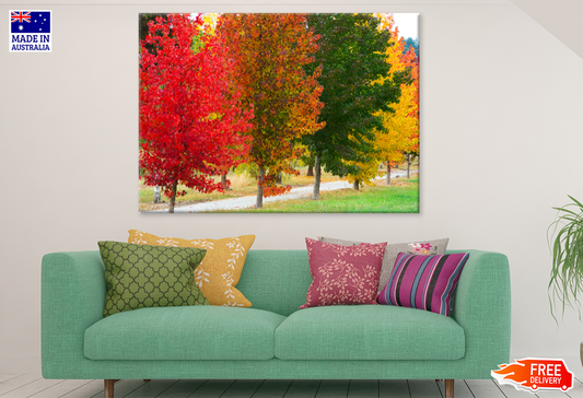 Colorful Autumn Trees Closeup Photograph Print 100% Australian Made