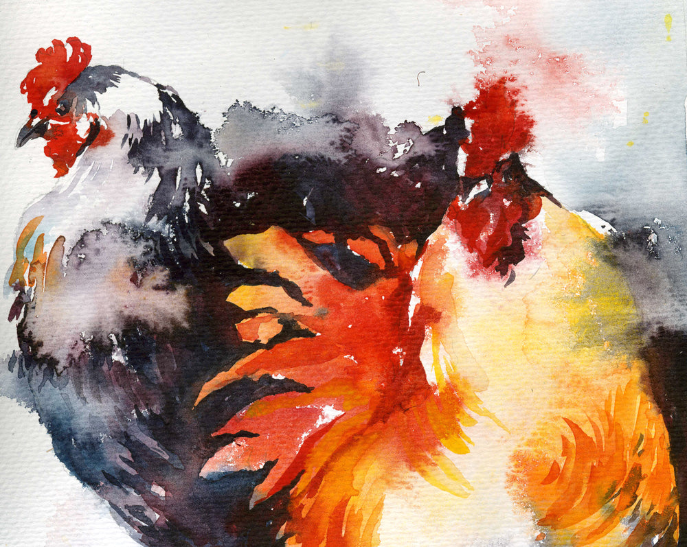 Rooster & Hen Watercolor Painting Print 100% Australian Made