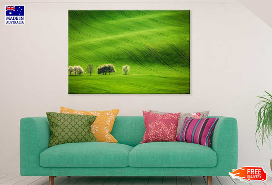 Trees on Green Grass Field Scenery View Photograph Print 100% Australian Made