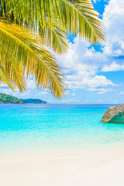 Palm Leaves & Sandy Beach View Photograph Home Decor Premium Quality Poster Print Choose Your Sizes