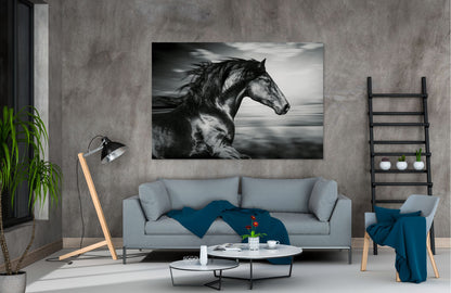 Stunning Black Running horse Print 100% Australian Made