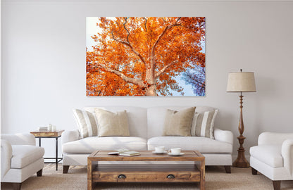 Stunning trees Nature Print 100% Australian Made