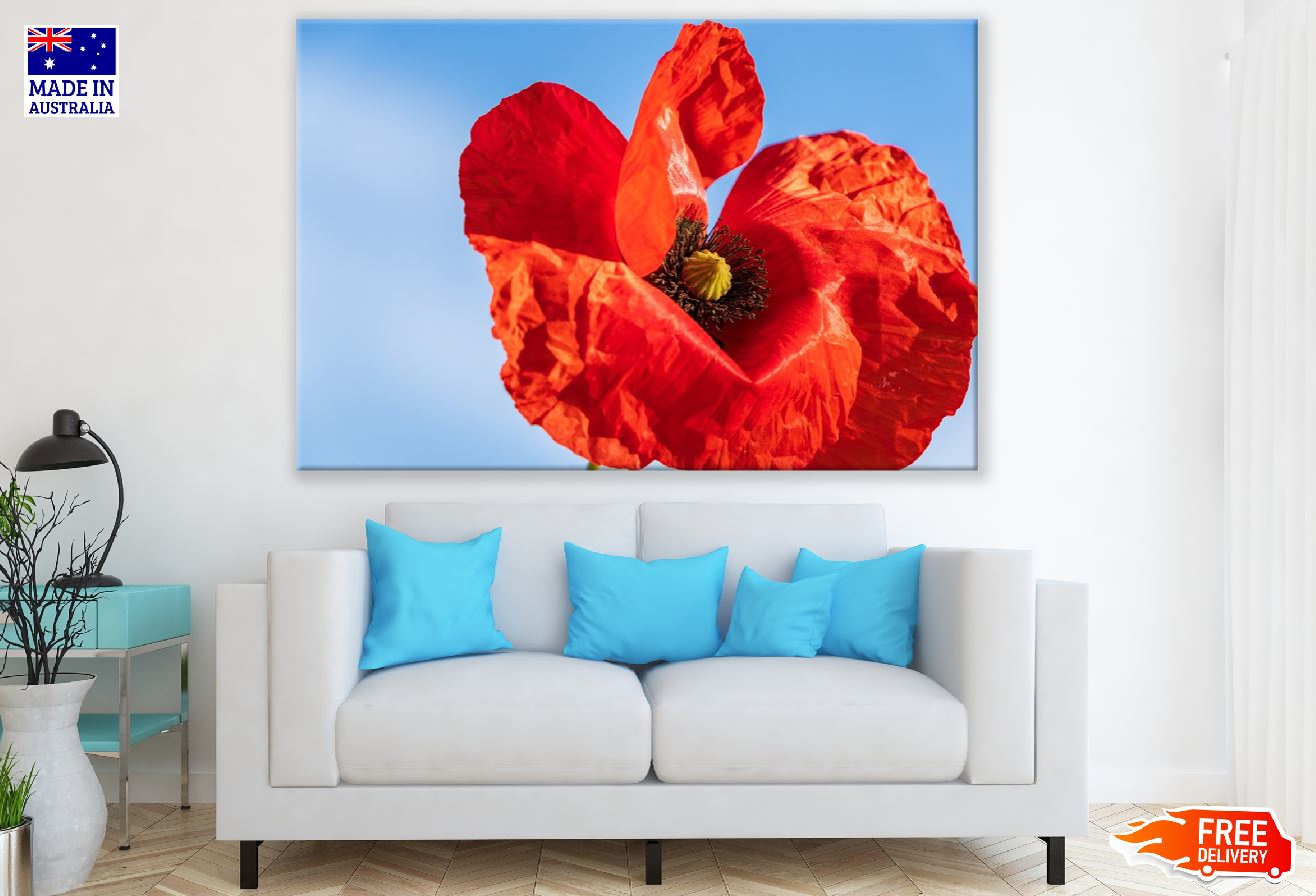 Red Poppy Flower Under Blue Sky Photograph Print 100% Australian Made