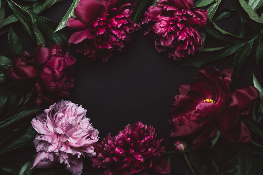 Purple Peony Flowers Dark View Photograph Print 100% Australian Made