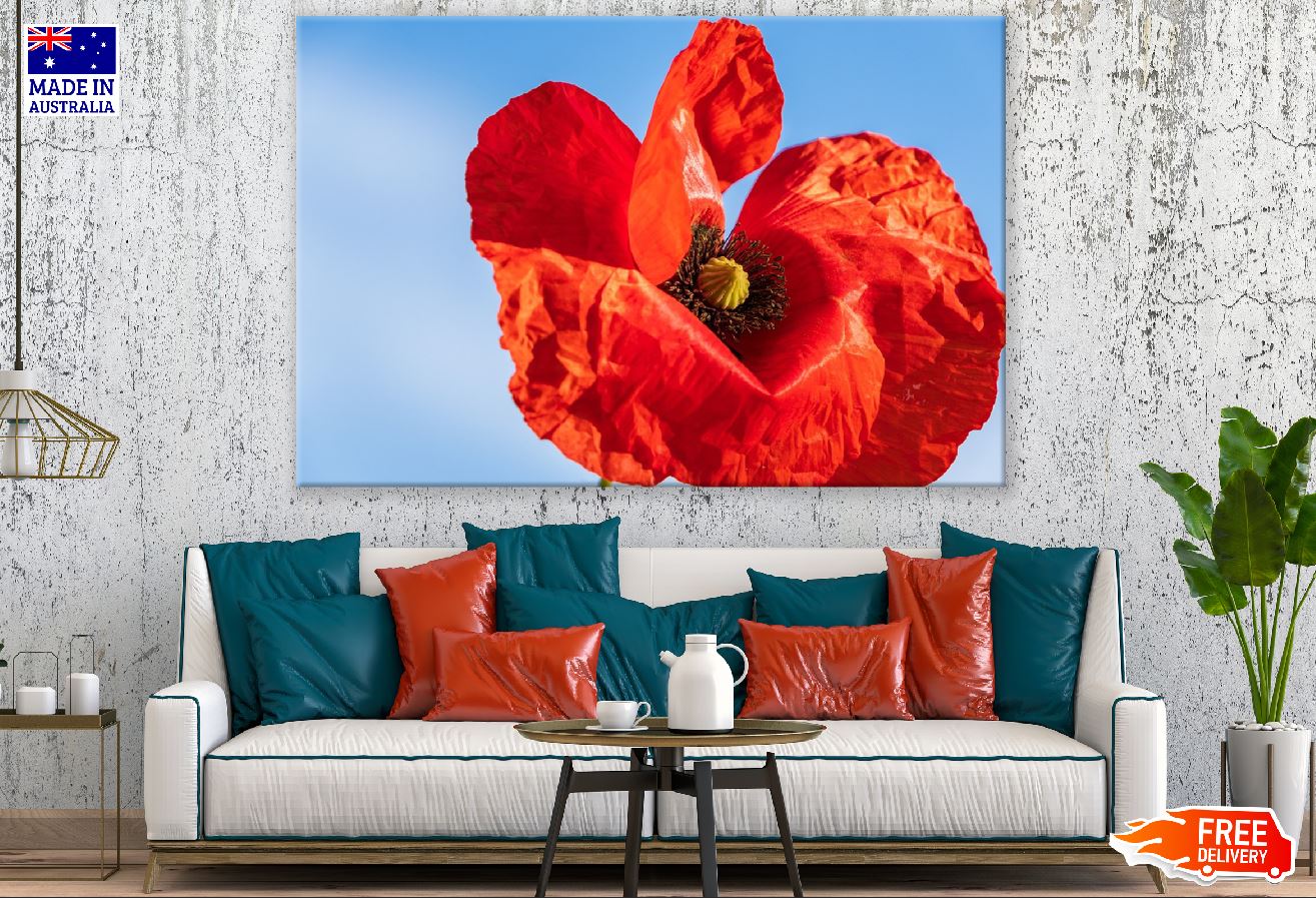 Red Poppy Flower Under Blue Sky Photograph Print 100% Australian Made