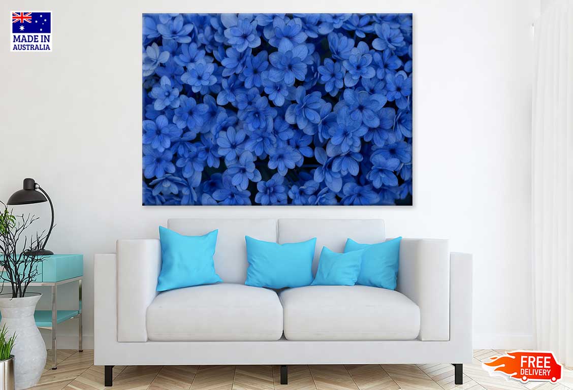 Blue Flowers Aerial Photograph Print 100% Australian Made