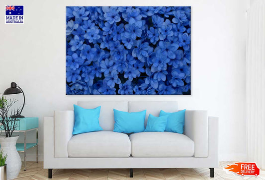 Blue Flowers Aerial Photograph Print 100% Australian Made