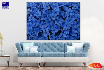 Blue Flowers Aerial Photograph Print 100% Australian Made