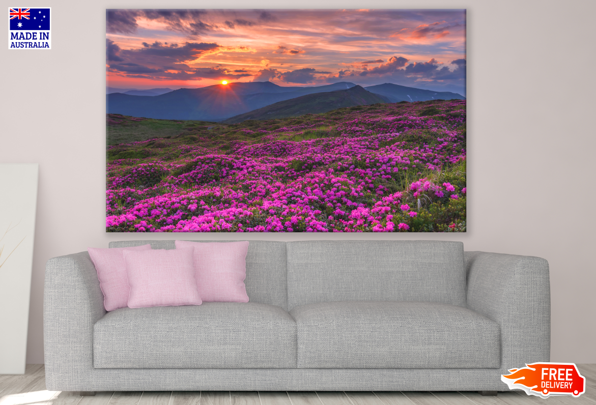 Stunning Sunset View from Pink Flower Field Photograph Print 100% Australian Made