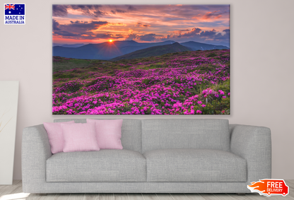 Stunning Sunset View from Pink Flower Field Photograph Print 100% Australian Made