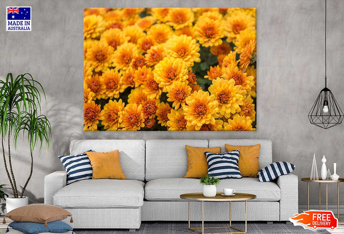 Yellow Chrysanthemum Flowers View Photograph Print 100% Australian Made