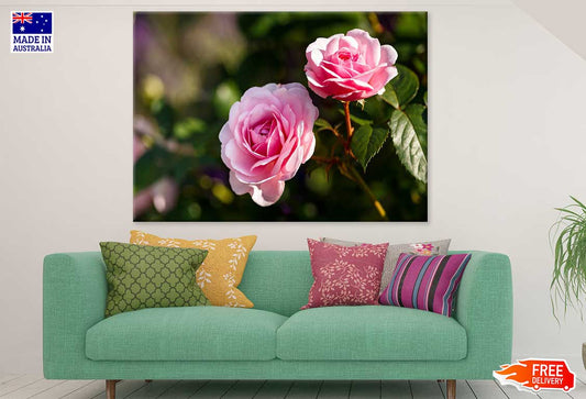 Rose Flowers Plant Closeup View Photograph Print 100% Australian Made