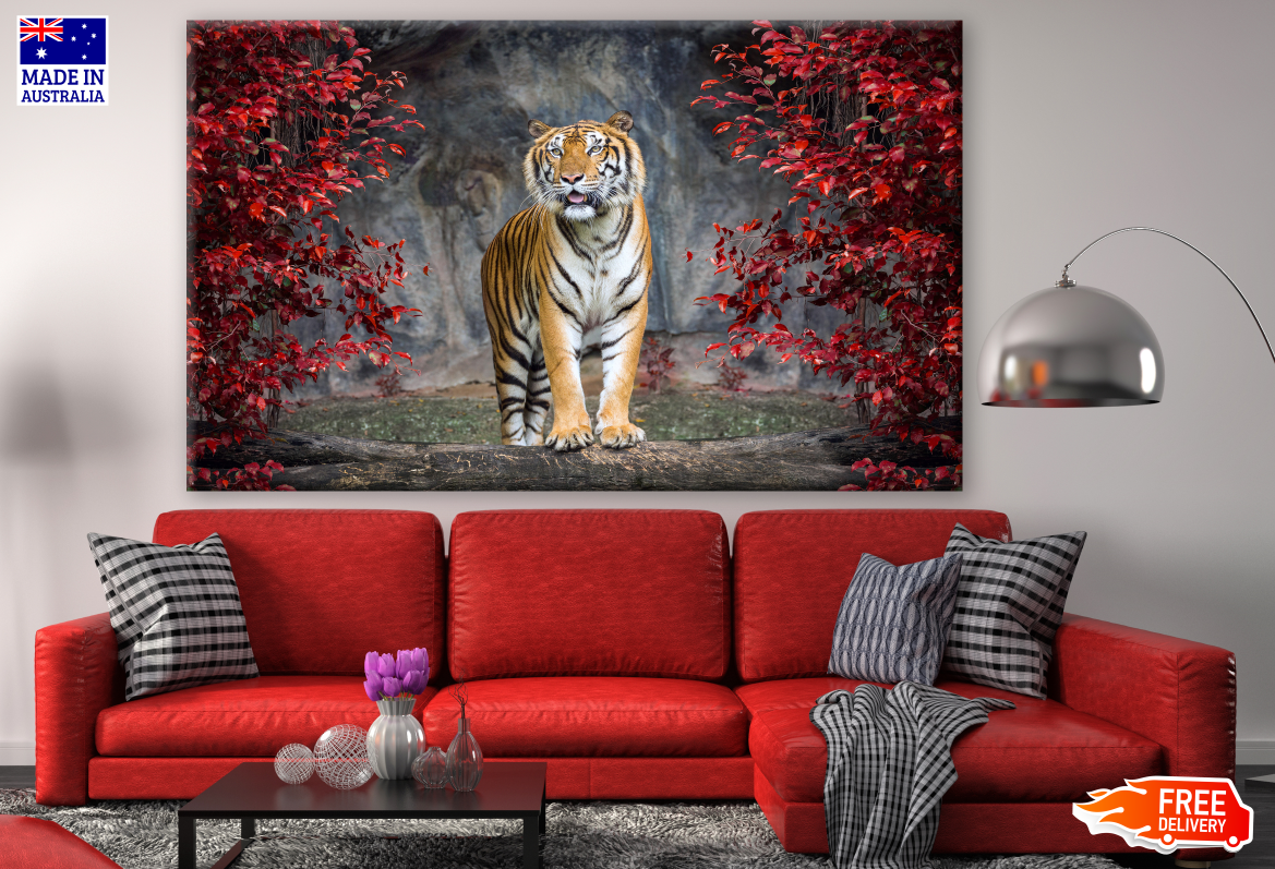 Tiger in Zoo Red Leafy Trees Photograph Print 100% Australian Made