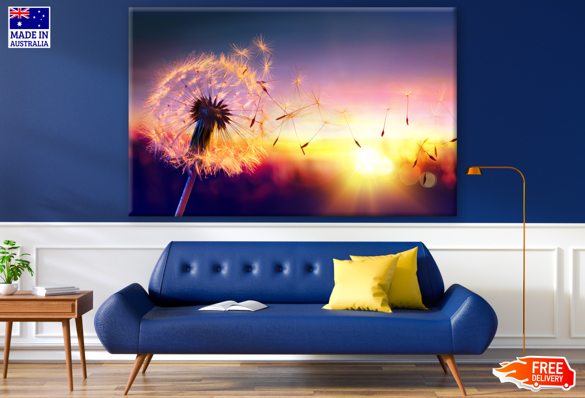 Dandelion Flowers in Sunset Photograph Print 100% Australian Made