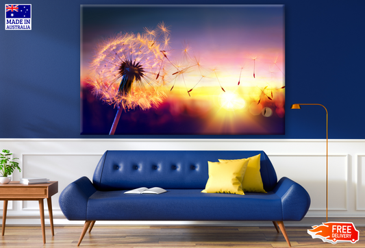 Dandelion Flowers in Sunset Photograph Print 100% Australian Made