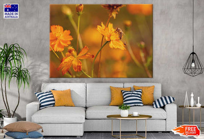 Bee on Yellow Cosmos Flower View Photograph Print 100% Australian Made