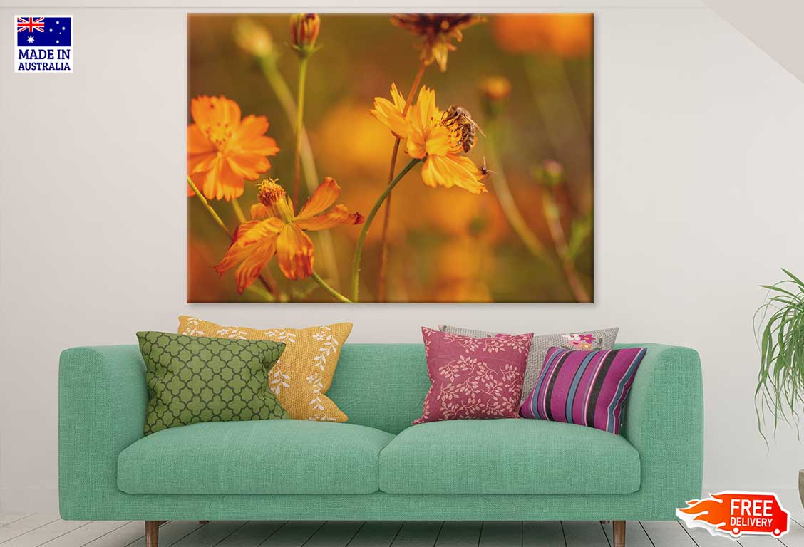 Bee on Yellow Cosmos Flower View Photograph Print 100% Australian Made