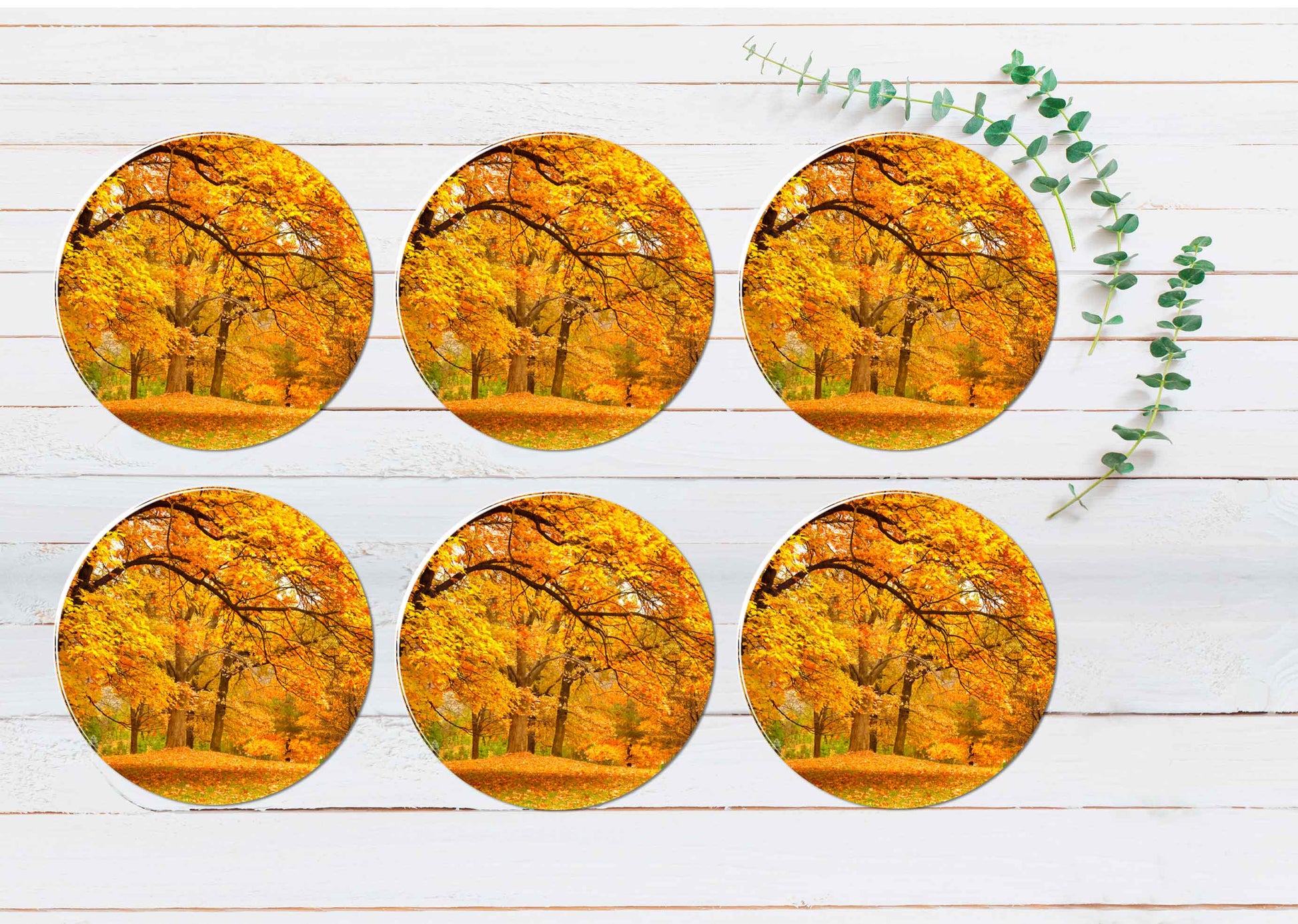 Autumn Leaves In The Forest Coasters Wood & Rubber - Set of 6 Coasters