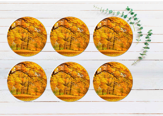 Autumn Leaves In The Forest Coasters Wood & Rubber - Set of 6 Coasters