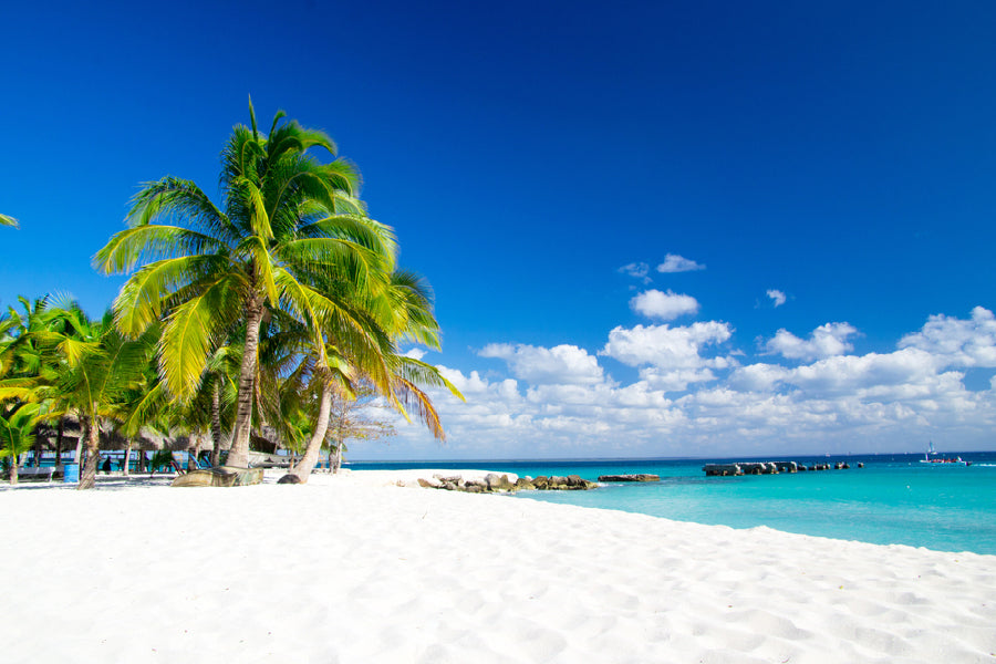 Blue Sky Summer Sea & Palm Trees Photograph Home Decor Premium Quality Poster Print Choose Your Sizes
