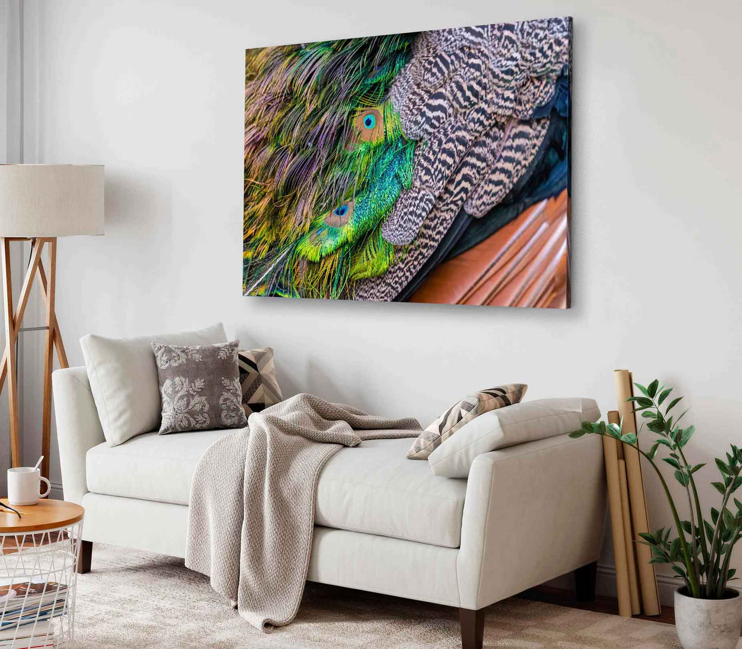 Bella Home Peacock Feathers Close Up Photography Print Canvas Ready to hang