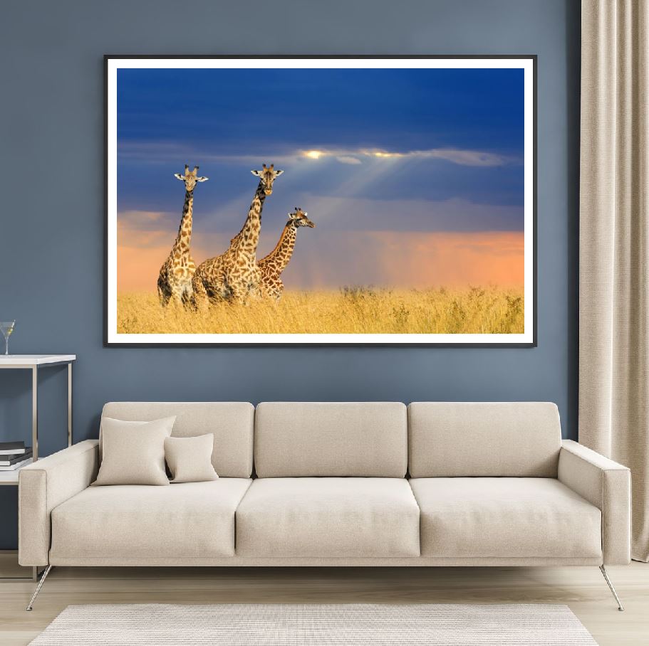 Giraffes in Field Photograph Home Decor Premium Quality Poster Print Choose Your Sizes