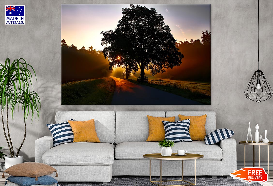 Sunrays & Road with Tree Row Photograph Print 100% Australian Made