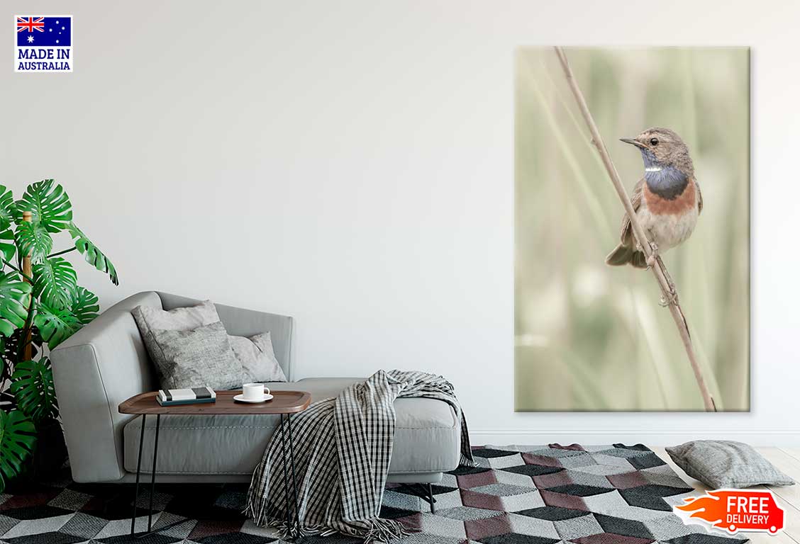 Sparrow Bird on Branch Photograph Print 100% Australian Made