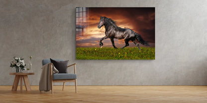 Horse in Grass Field Print Tempered Glass Wall Art 100% Made in Australia Ready to Hang