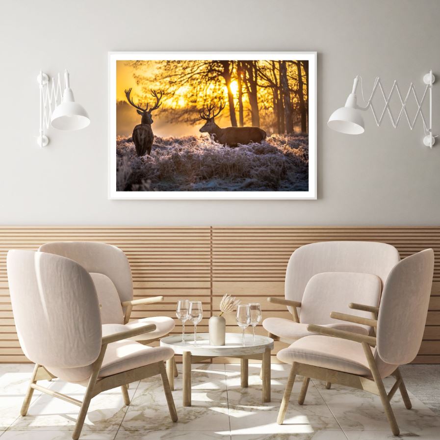 Deers in Forest at Sunset Photogrpah Home Decor Premium Quality Poster Print Choose Your Sizes