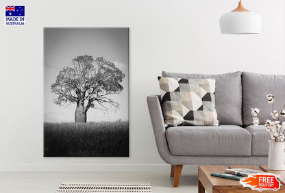 Big Old Tree on Grass Field B&W Photograph Print 100% Australian Made