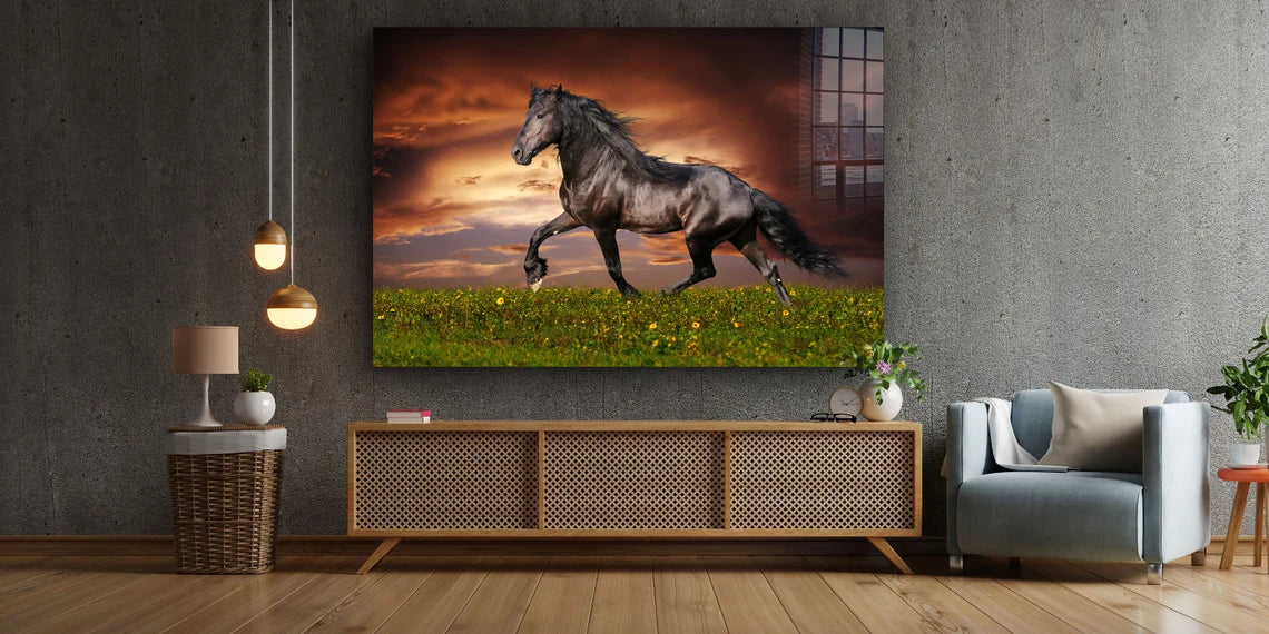 Horse in Grass Field Print Tempered Glass Wall Art 100% Made in Australia Ready to Hang