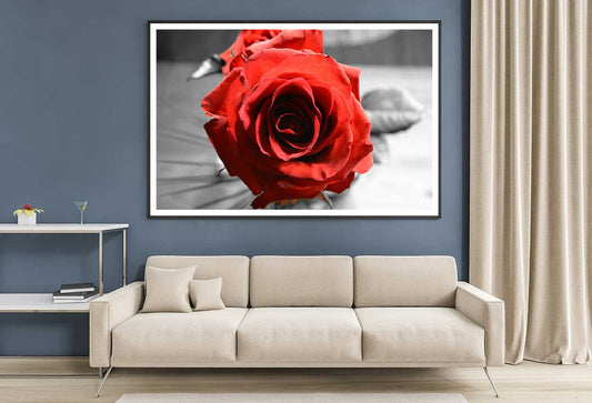 Red Rose with B&W View Photograph Home Decor Premium Quality Poster Print Choose Your Sizes