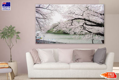 Bloomed Cherry Print 100% Australian Made